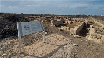 السياحة والآثار: إزالة الحشائش وتجهيز موقع أبو مينا الأثري بالإسكندرية للزيارة 