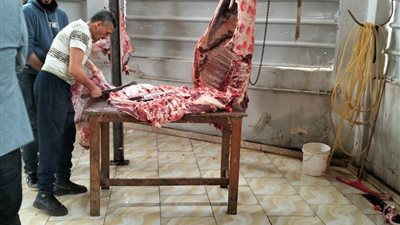 إطلاق مبادرة لبيع اللحوم البلدي بسعر 170 جنيها للكيلو 