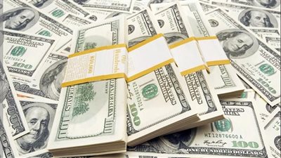 البنك المركزي تفاصيل هامة عن حسم سعر الدولار اليوم