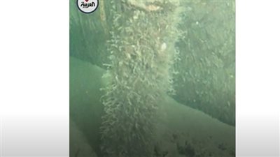 شاهد.. الدنمارك تكشف الجسم الغامض الذي عثر عليه بجوار 