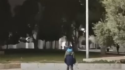 شاهد.. استشهاد فلسطيني برصاص قوات الاحتلال عند باب السلسلة في المسجد الأقصى