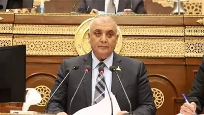 نائب بالشيوخ: انتصارات العاشر من رمضان أعادت إلى مصر عزتها ومكانتها