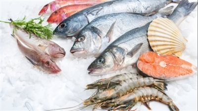 تعرف على فوائد السمك وأحدث أسعاره 