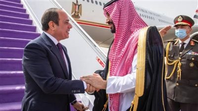 نائب بالشيوخ: العلاقات المصرية السعودية راسخة ولا تتأثر بالمتغيرات