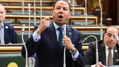 برلماني: العلاقات المصرية السعودية نموذج عربي فريد.. وخط الدفاع الأول للمنطقة