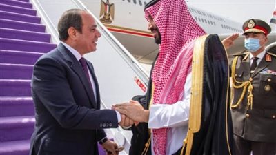 برلماني يكشف أهمية لقاء الرئيس السيسي بالأمير محمد بن سلمان
