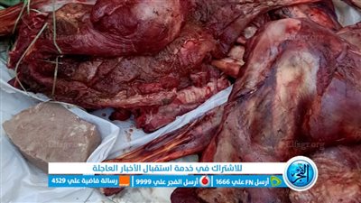 محافظة الجيزة: ضبط 16 أطنان مصنعات لحوم وأسماك مملحة فاسدة وغير صالحة