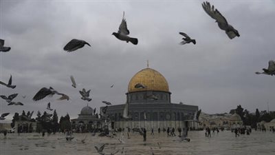 كبير حاخامات إسرائيل يمنع حمل قرابين حيوانية إلى المسجد الأقصى في عيد الفصح