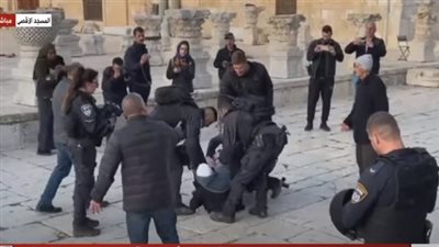 شاهد.. شرطة الاحتلال تعتدي على سيدة فلسطينية في باحات الأقصى