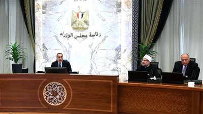 الفريق محمد عباس يعرض تقريرا عن محاور الرؤية المستقبلية للاستثمار في صناعة الطيران الوطني