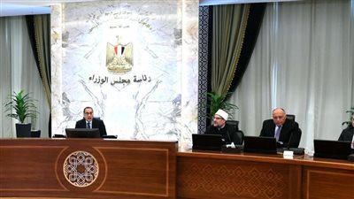 عاجل.. مجلس الوزراء يعفي 25 ألف طن دواجن مجمدة من الضرائب الجمركية