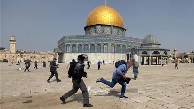 أستاذ قانون دولي يطالب الجنائية الدولية باعتقال المسئولين الإسرائيليين