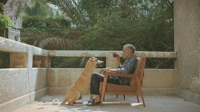 فيلم كلينك تشارك بفيلم 19 ب للمخرج أحمد عبد الله السيد في 3 مهرجانات دولية