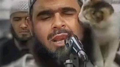 من مصر إلى الجزائر.. ما قصة القطة مع الأزهري وليد مهساس