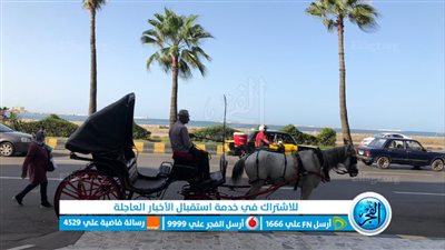 شواطئ مفتوحة للتنزه وحديقة الحيوان تجذب الأطفال.. ومكتبة الإسكندرية المقصد الأشهر