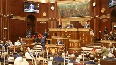 برلماني: تلاقي جهود حياة كريمة مع التحالف الوطني يحقق الأمن الغذائي والمعيشي