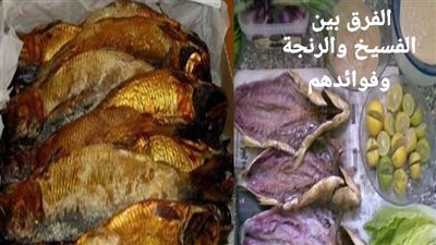 شم النسيم 2023.. ما الفرق بين الفسيخ والرنجة وما هي فائدة تناولهم؟