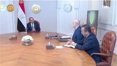 شاهد.. تفاصيل توجيهات السيسي بشأن مشروعي التجلي الأعظم وسد 