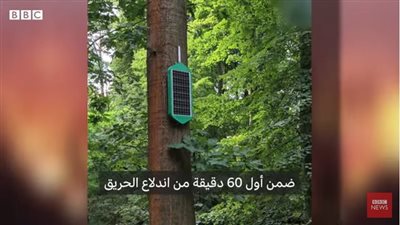 شاهد.. تفاصيل جهاز مبتكر لرصد حرائق الغابات قبل انتشارها مبكرًا 
