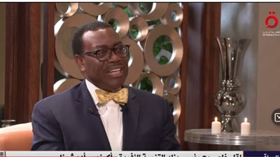رئيس بنك التنمية الأفريقية: سوق الغذاء أهم من السيارات (فيديو)