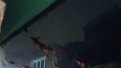 أمطار ورعد في الدقهلية.. والأجهزة التنفيذية ترفع حالة الطوارئ (صور)