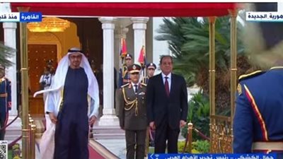 أحمد موسى عن زيارة الشيخ محمد بن زايد لمصر: 