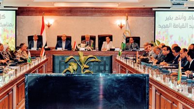 محافظ الجيزة يشيد بالمبادرة الرئاسية 