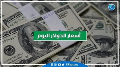 تعرف على سعر الدولار اليوم في البنوك المصرية الخميس 13/4/2023