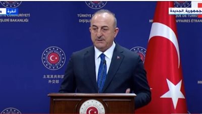 وزير الخارجية التركي: اتفقت مع أخي سامح شكري على تعيين السفراء