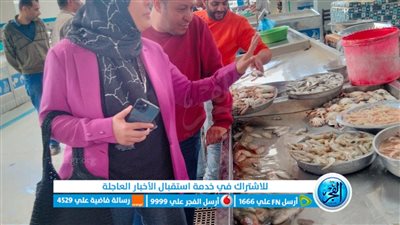 حملة تموينية على أسواق ومحال الأسماك في الإسماعيلية 