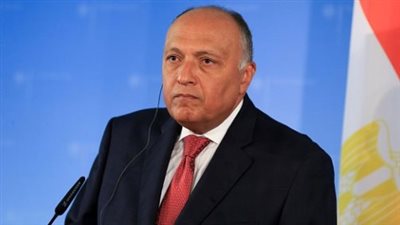 عاجل.. وزير الخارجية: زيارتي لتشاد للتنسيق مع دول الجوار لاحتواء أزمة السودان (فيديو)