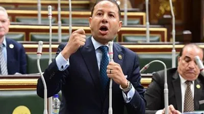 برلماني: المجلس الأعلى للاستثمار يمنح قوة دفع للقطاعات الإنتاجية وزيادة رؤوس الأموال