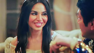 باسم سمرة يتزوج نسرين أمين.. تفاصيل الحلقة 27 من 