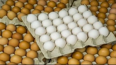 أسعار البيض اليوم في مصر.. ارتفاعات لا تهبط