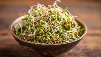 تسالي العيد.. تعرف على طريقة عمل الحلبة المنبتة وأهم فوائدها