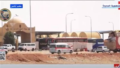 العملية المصرية صقر 204 في السودان.. خبير استراتيجي يكشف التفاصيل