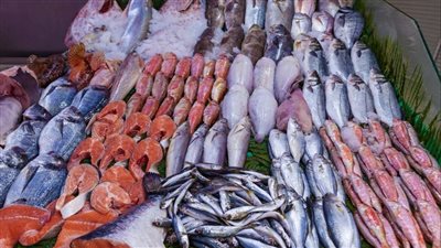 مصر تمتلك اكتفاء ذاتي من الثروة السمكية.. التفاصيل الكاملة عن أسعار الأسماك