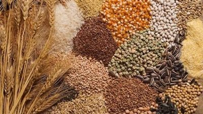 آخر تطورات أسعار الأعلاف في السوق المحلية