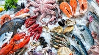 أسعار الأسماك اليوم 25 أبريل 2023 في السوق المحلية المصرية