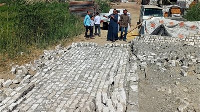 الجيزة تزيل 12 حالة تعدٍ على الأرض الزراعية وأملاك الدولة