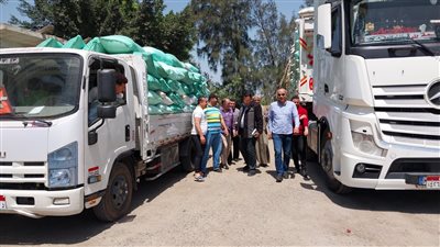 استلام 770 طن قمح بصومعة بني عبيد وشونة السنبلاوين بالدقهلية 