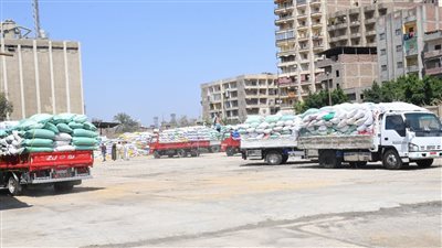 تموين الغربية: توريد 2050 طن قمح إلى صوامع وشون المحافظة