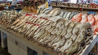 الثروة السمكية.. استقرار أسعار الأسماك اليوم 26 أبريل في السوق المحلية 