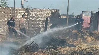 حريق هائل داخل مزرعة لتربية المواشي في الغربية (صور)