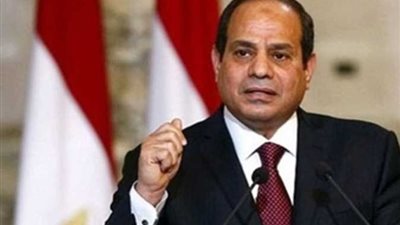 برلماني: زيادة مخصصات الحماية الاجتماعية ترجمة لاهتمام الرئيس بأولويات المواطن