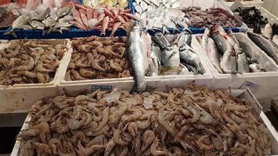 أسعار الأسماك اليوم الجمعة 28-4-2023 في محافظة الدقهلية