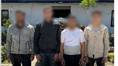 أمن القاهرة يضبط 9 أشخاص بتهمة ارتكاب جرائم السرقة