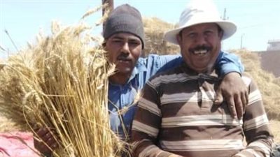 التغيرات المناخية تتسارع.. نصائح عاجلة من الزراعة للفلاحين لحماية المحاصيل من الحرارة