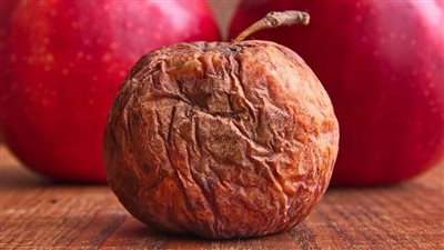 القومي للتغذية يوضح حقيقية إمكانية تناول الأطعمة التي يظهر عليها العفن (فيديو)