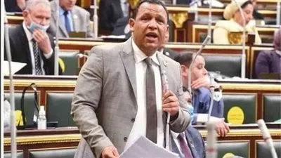 برلماني: الحوار الوطني حدث تاريخي يؤكد عظمة وقوة ووحدة المصريين